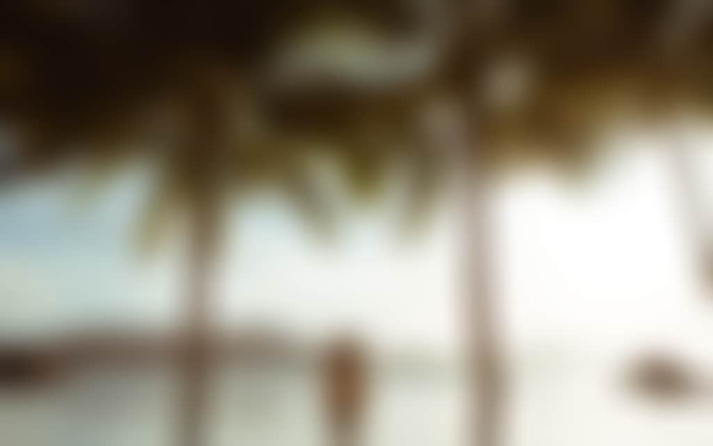 Hamilton Island Beach Club Pool