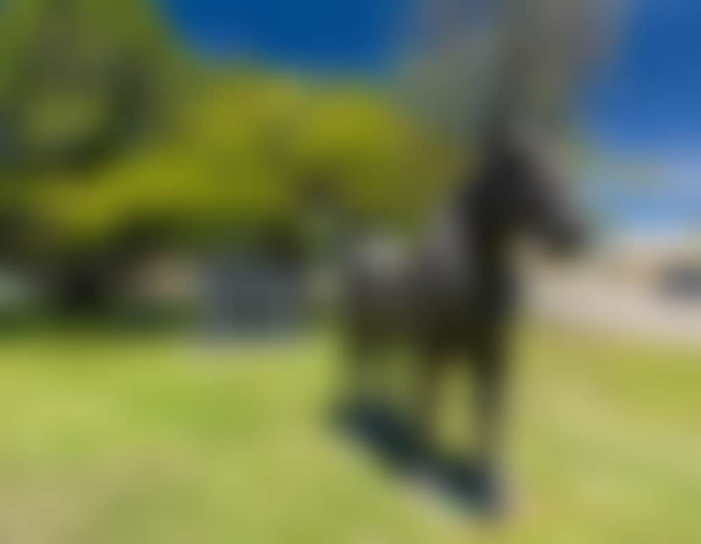 Collinsville Pit Pony Statue