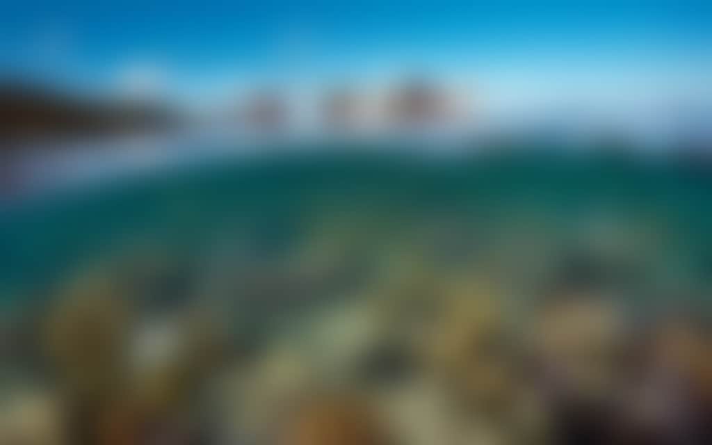1540Ebec68Cf27Aae8Fd5E983F88A784