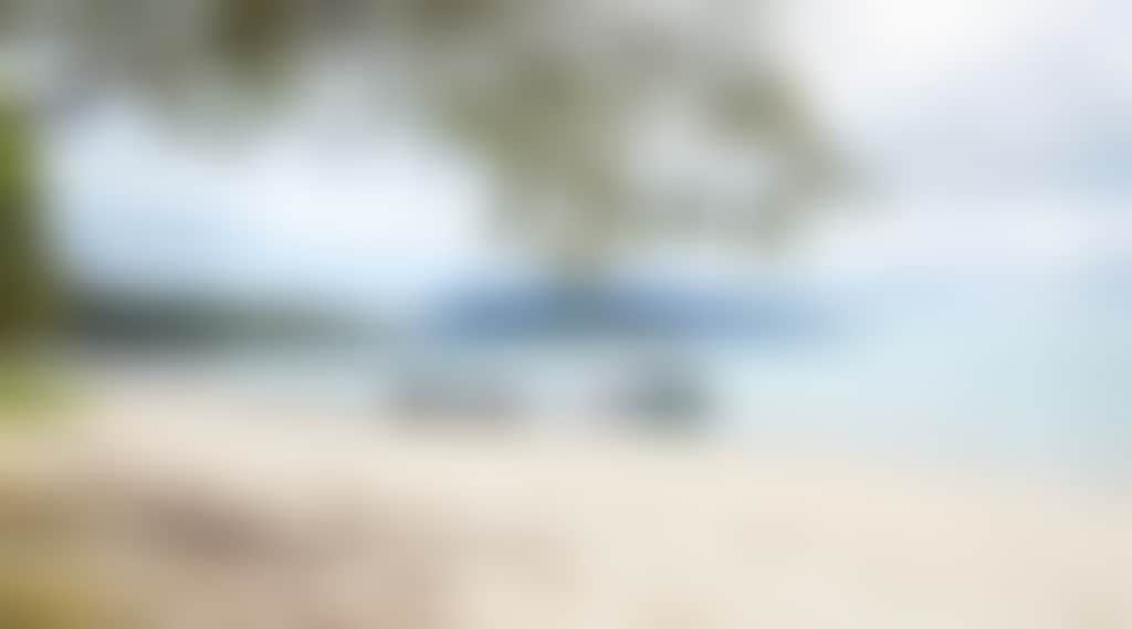C0D55005966672F0C2Dcdd9D24B8191C