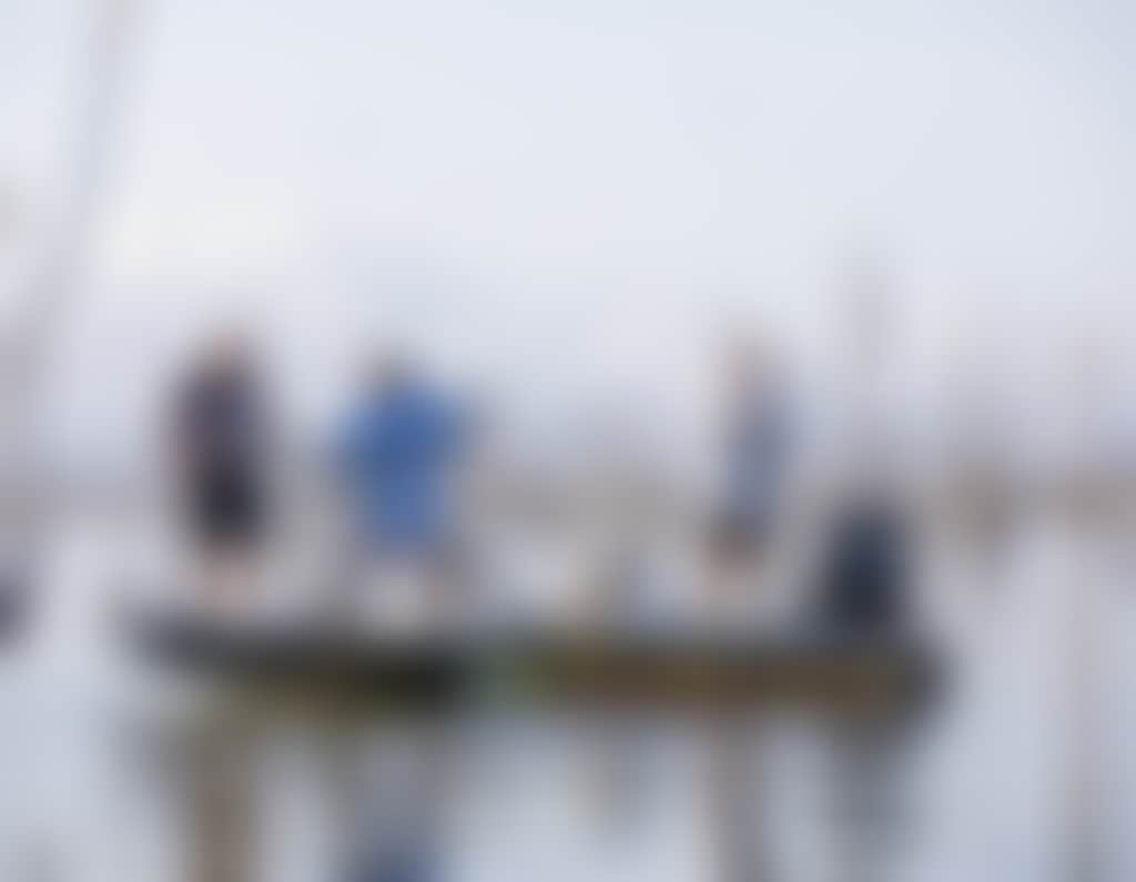 Lake Proserpine Fishing
