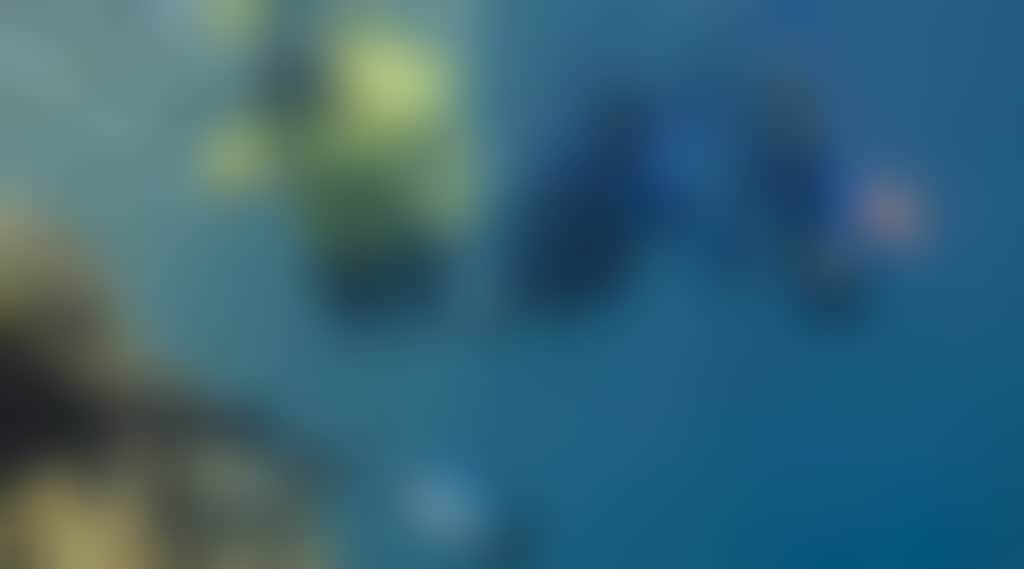 564570Bcc6A4Aa22B5503F93C166359D