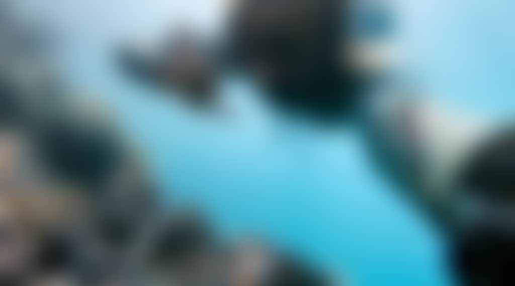 0651A1D7D368A9F22Dd508766E92F968