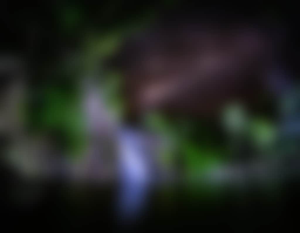 Cedar Creek Falls Night 2