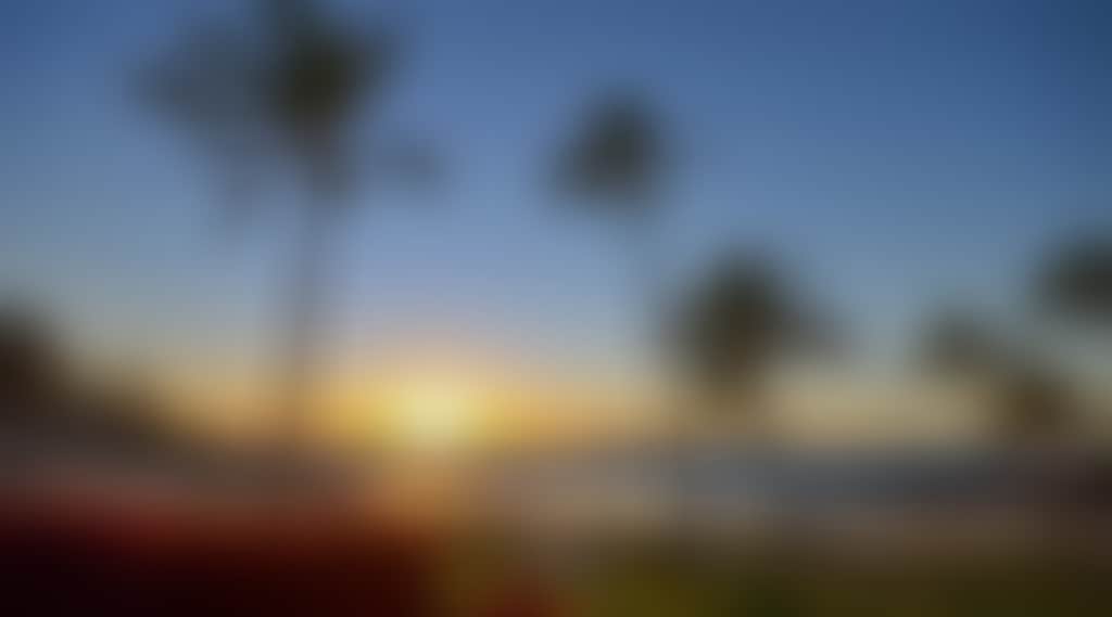 Original__9158594_Ah30_Rosebay1061_77Vxqry