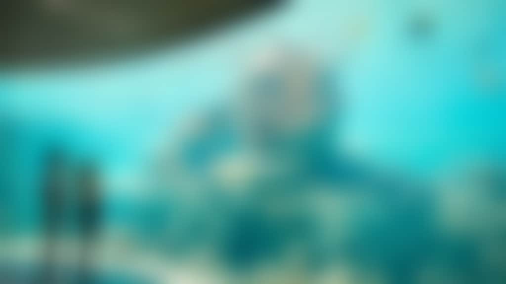 Daydream Island Underwater Observatory