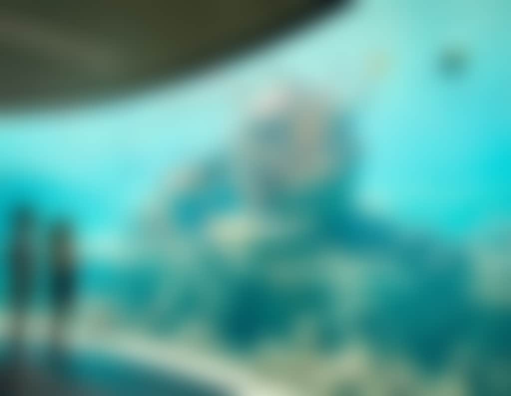 Daydream Island Underwater Observatory