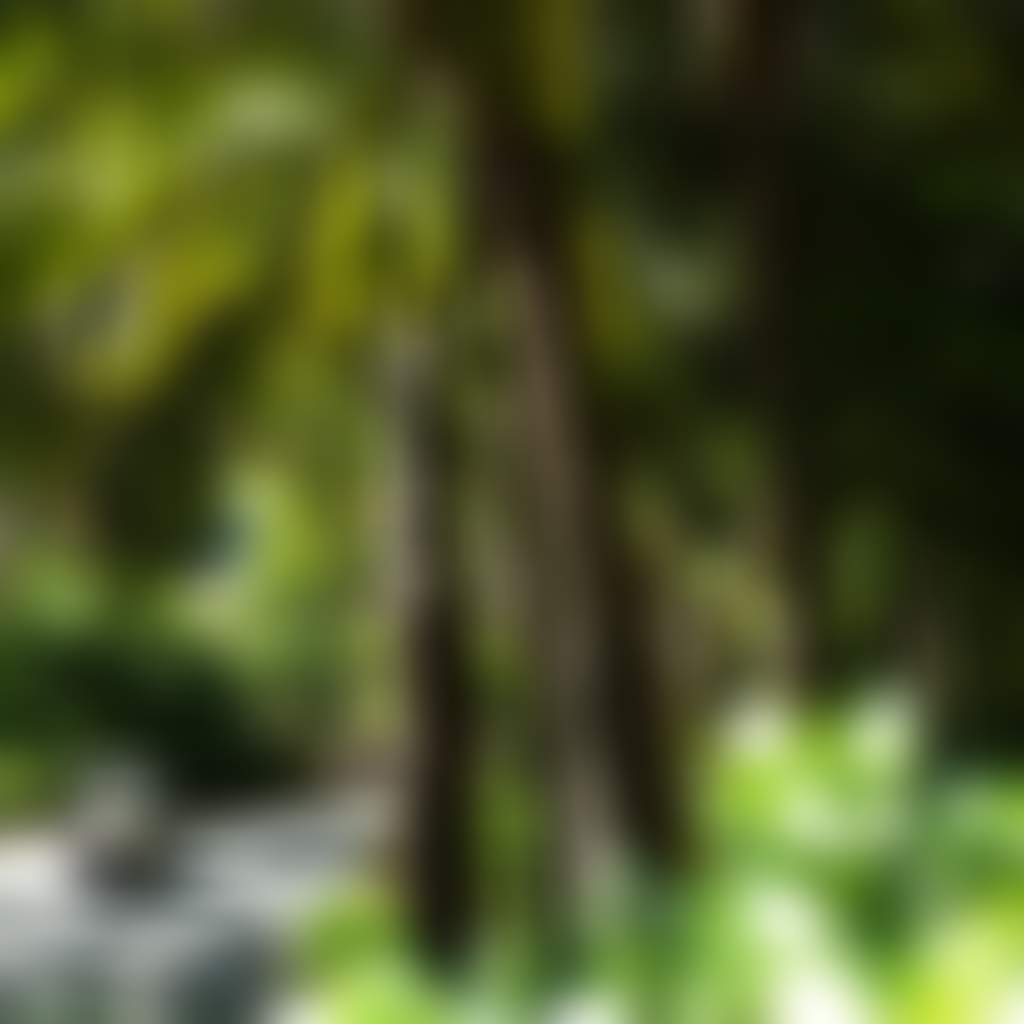 Hamilton Island Buggy