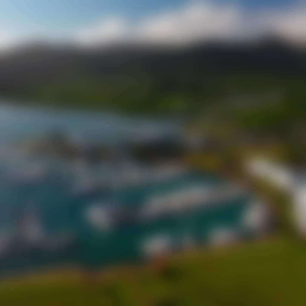 Port Of Airlie Marina Aerial