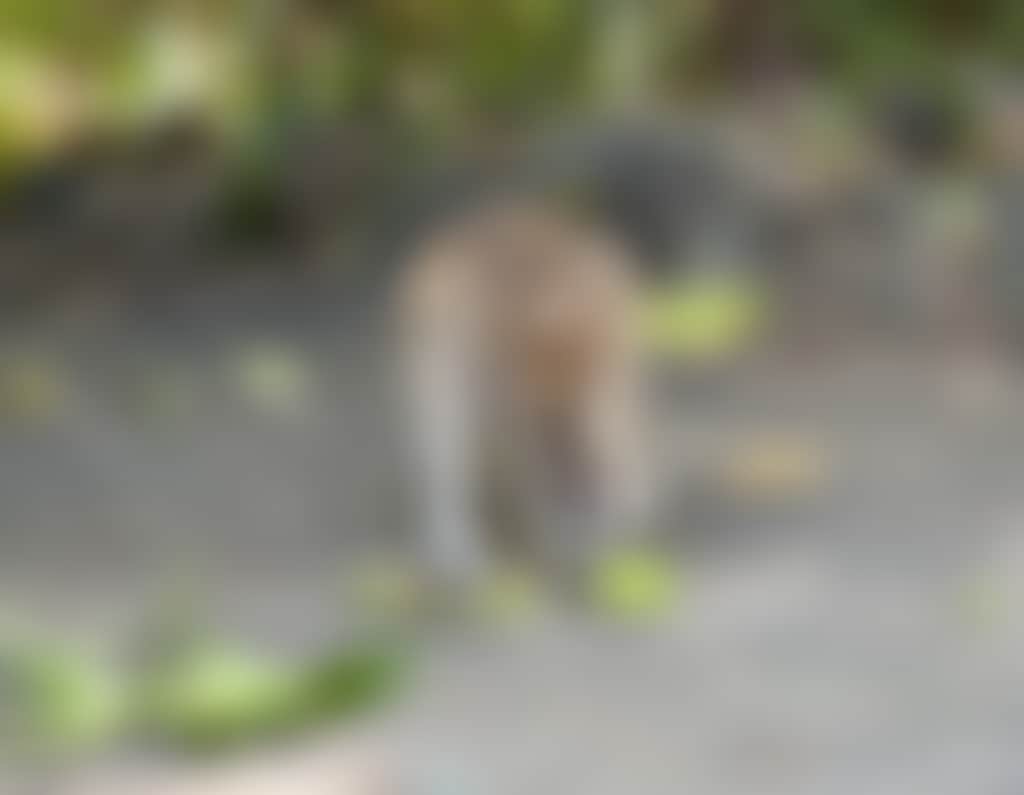 Palm Bay Resort IMG 2889