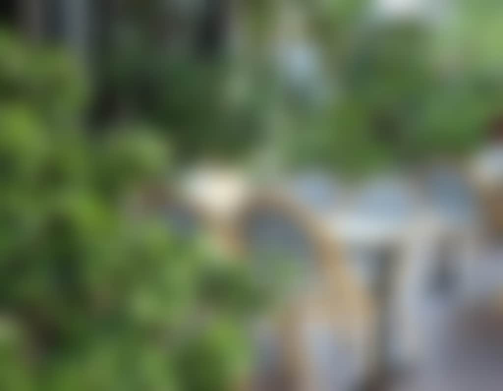 E4199Dd884C3Ee9D25709D7D97Cb7E2A