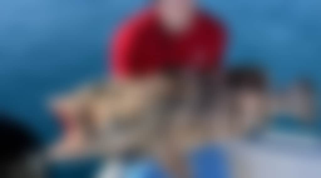 8986Ab0266C33C08903D01258Fcb870D