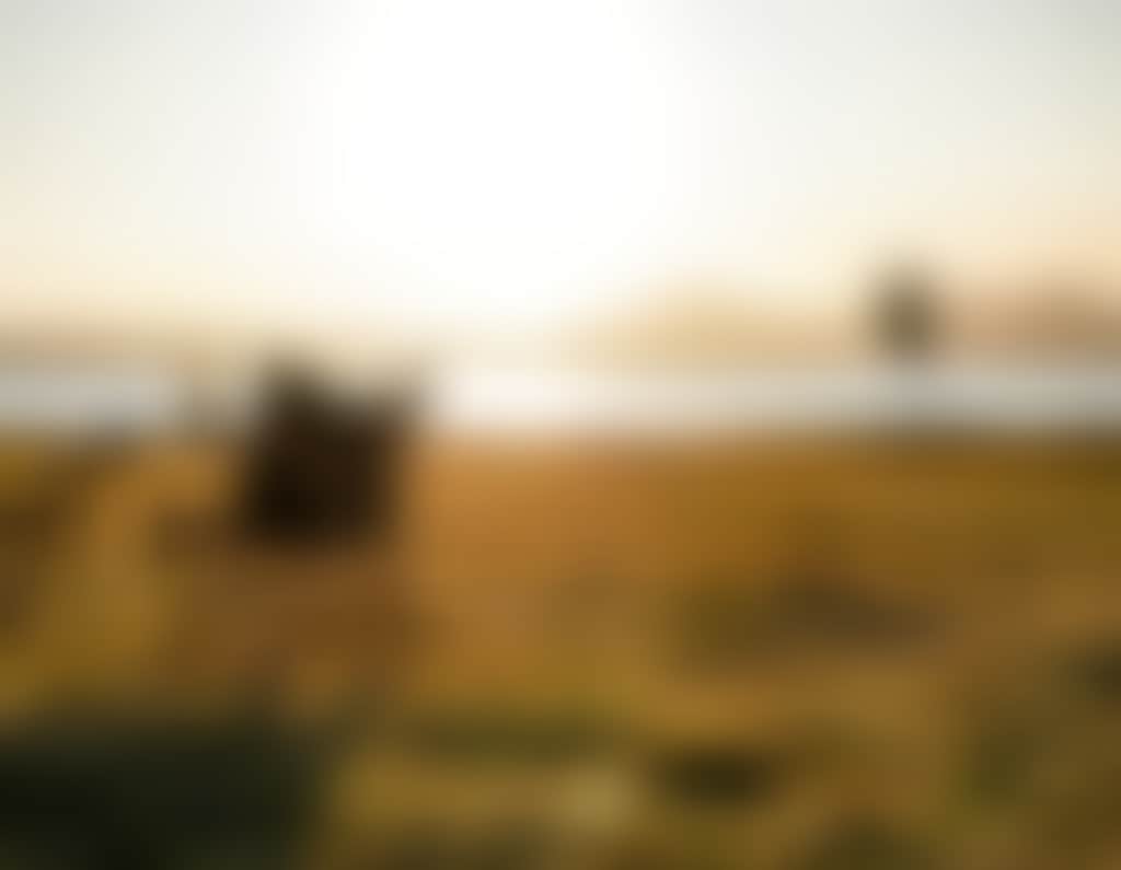 Lake Proserpine Camping 1