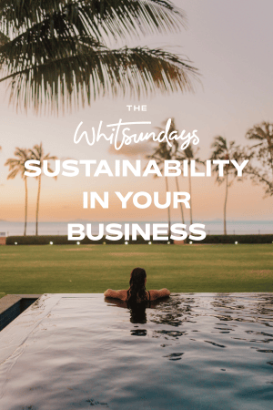 Sustainability In Your Business
