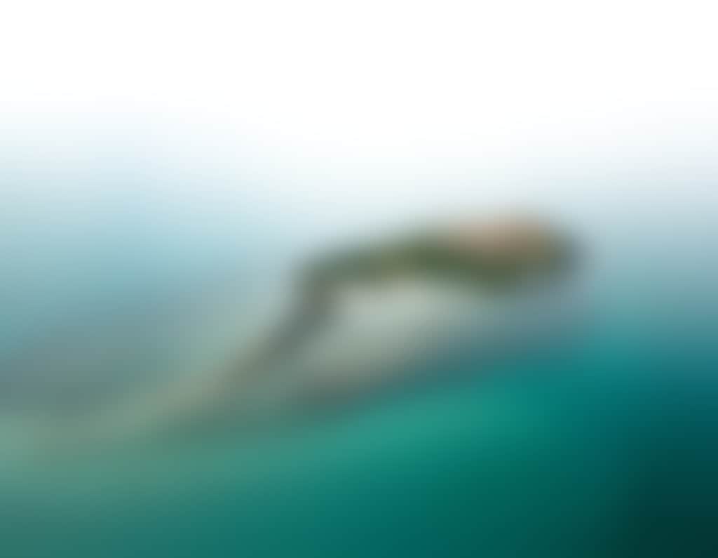 Camp Island Aerial Hero