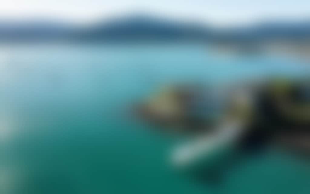 9C2226A9871B3E1C041E9F12Dde78545