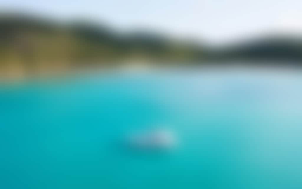 0405967A9E78A7E366A900Eff4263426