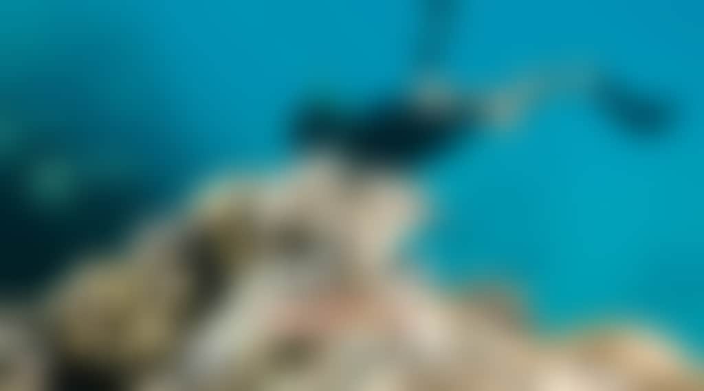 Cd7B601Bf22C095E76A295980E1A5Cd0