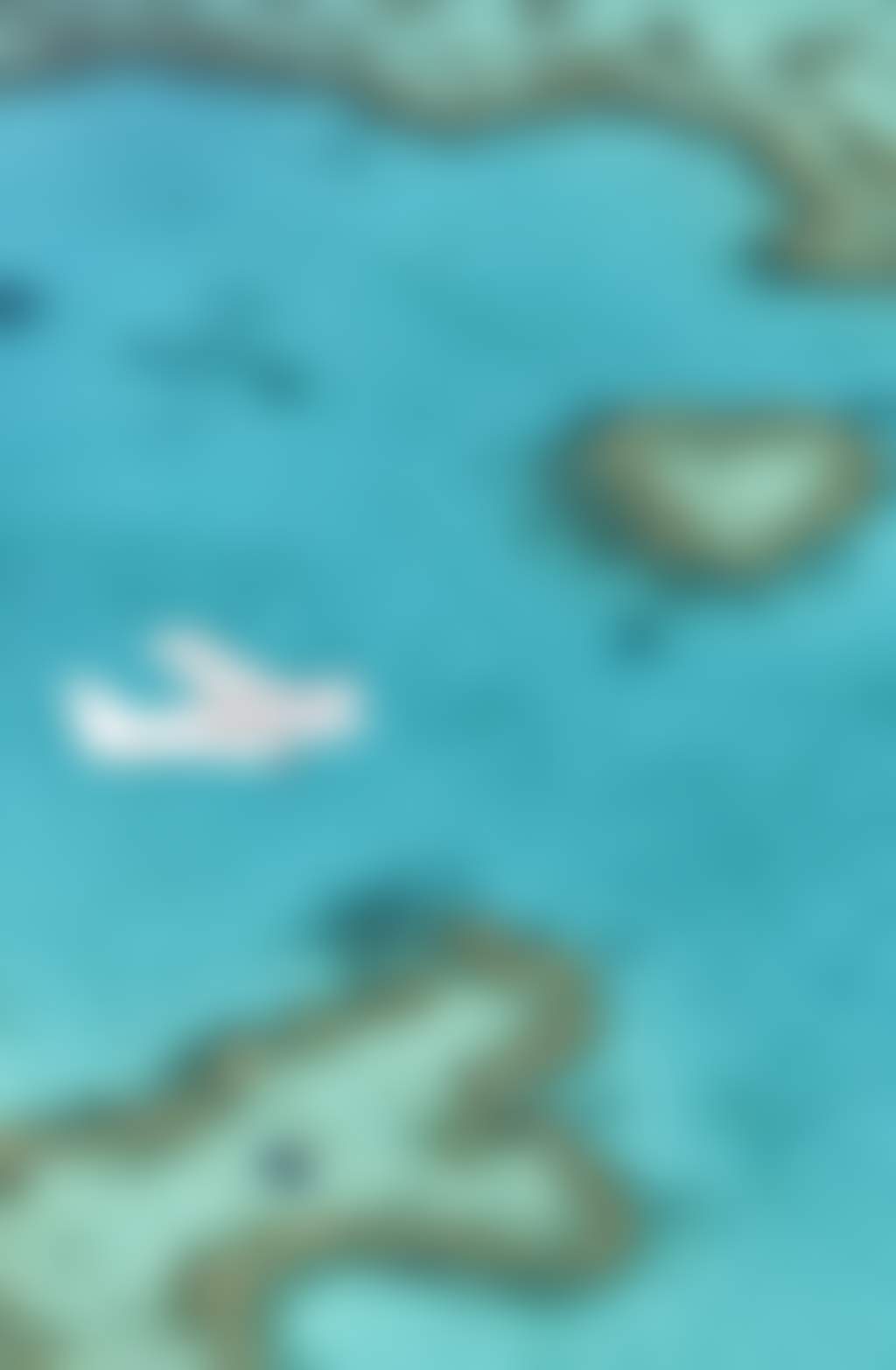 Heart Reef