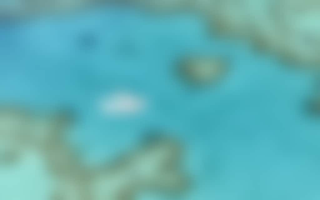 Heart Reef