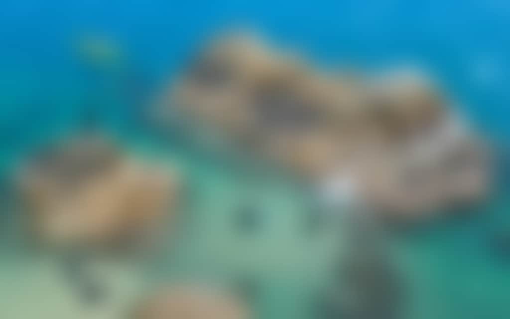 B26E3B4Bda57Ed0Ecea309E26A67592F