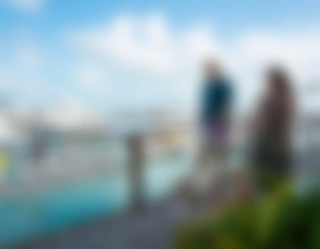 Boardwalk Walking The Dog