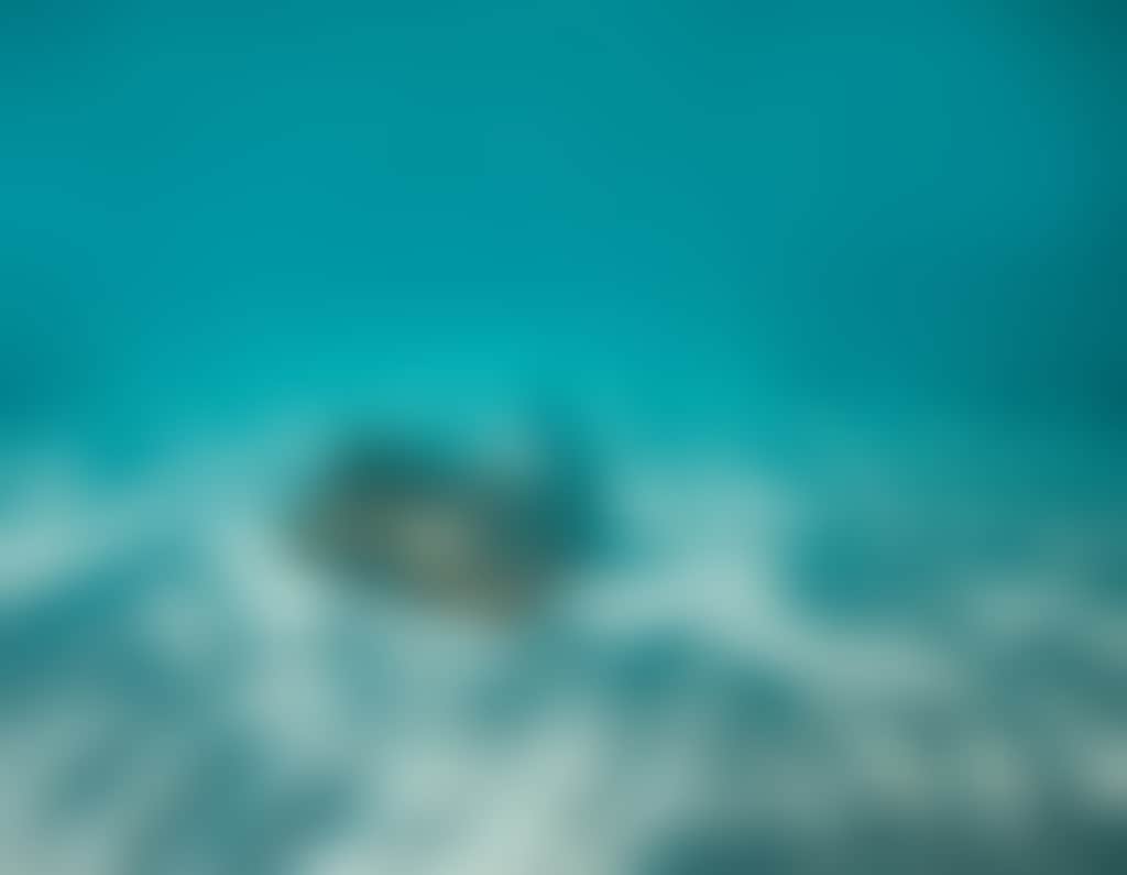 NECI Ocean Rafting 33