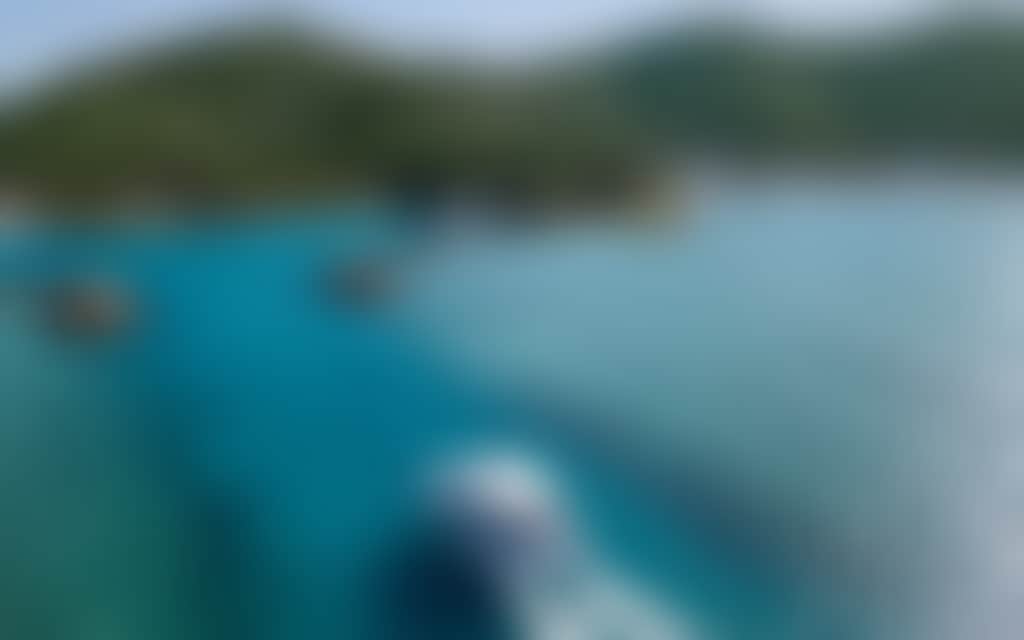 Hayman Island Arrival