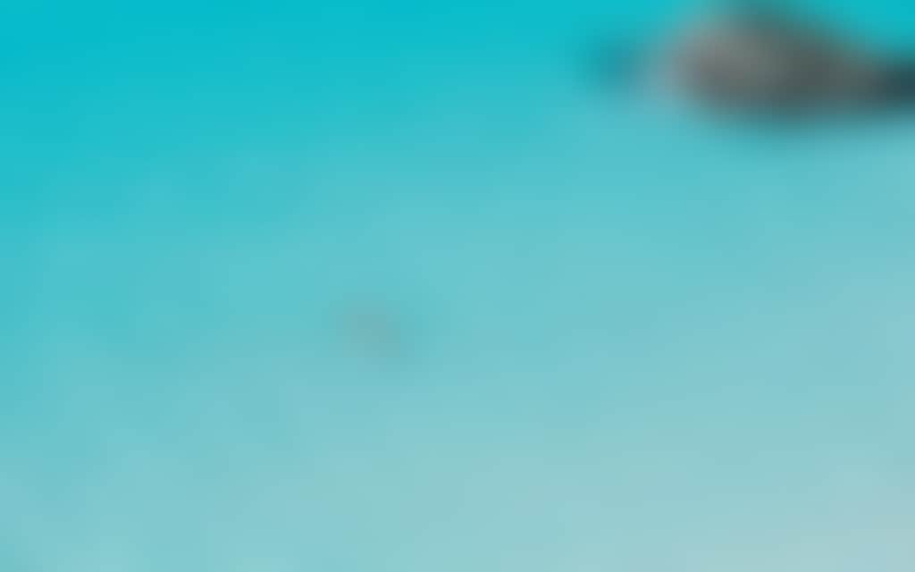 8Ca827B280B938D171Eb5F925D33063D