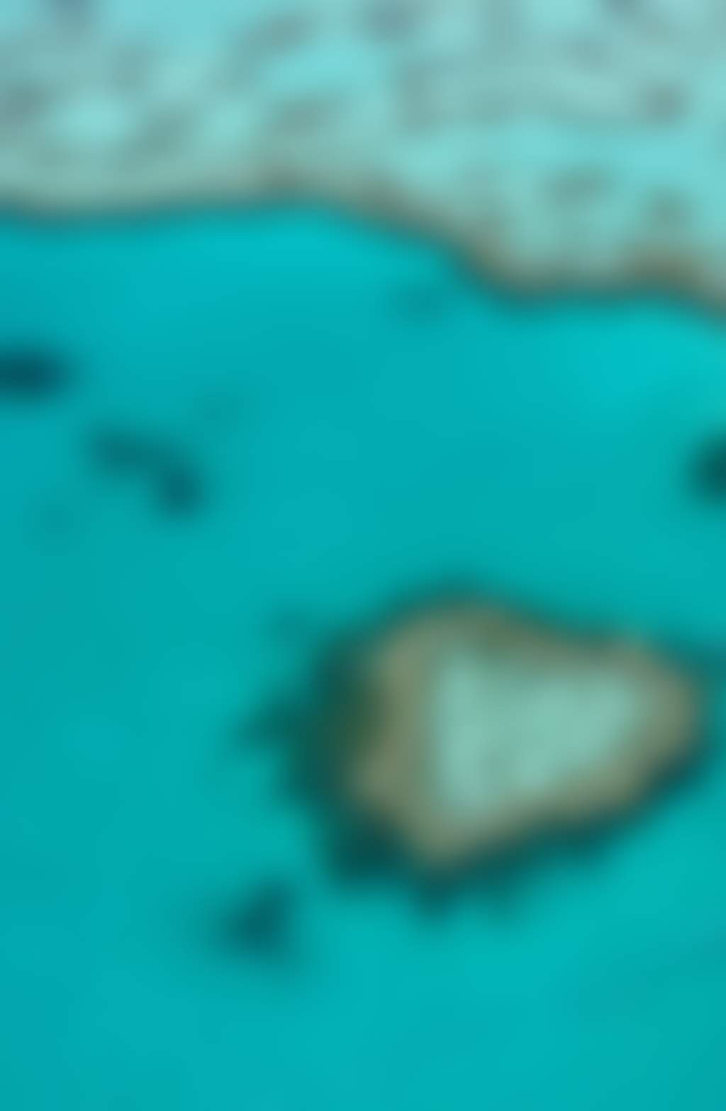 Heart Reef
