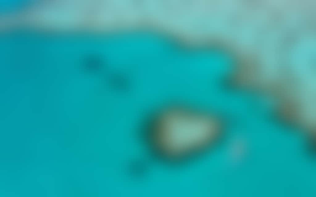 Heart Reef