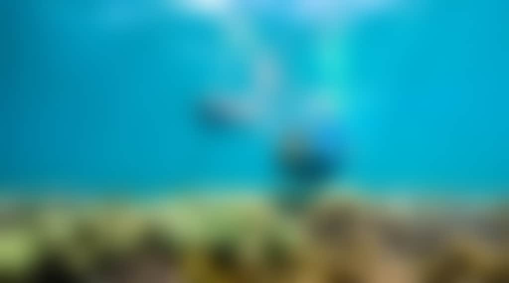 88F0F2Cdc117Fbe68Ae996F2Dddeb910
