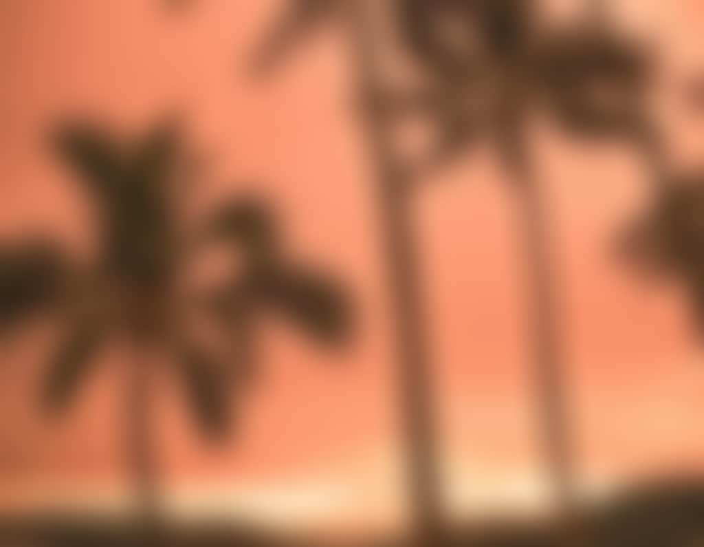 Elysian Hammock Sunset