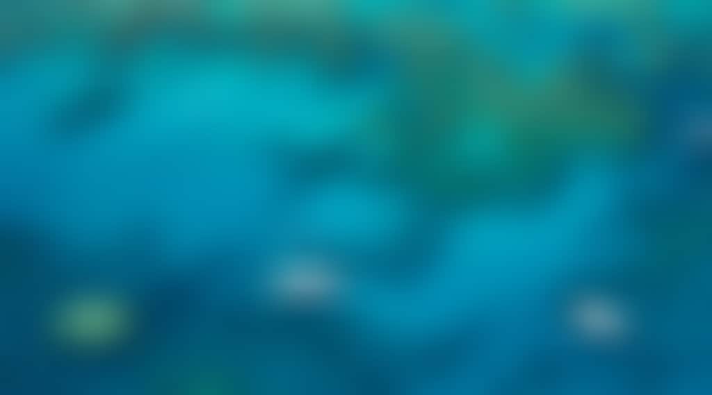 D74Adc8C9304E66Ff35B425Fa9Ba3979