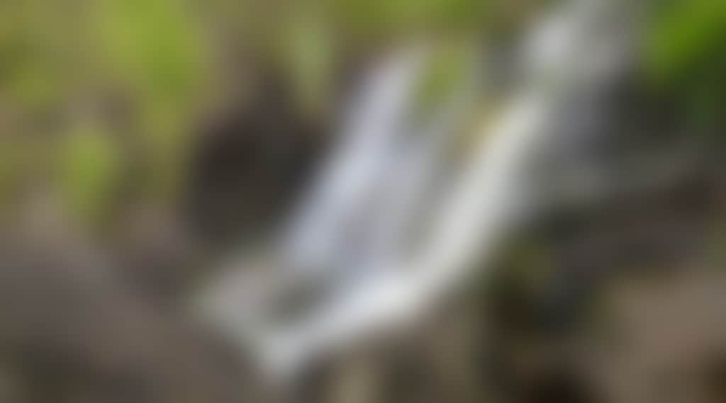 A543D6E707322Ca14Aec85895Cd90Cc4