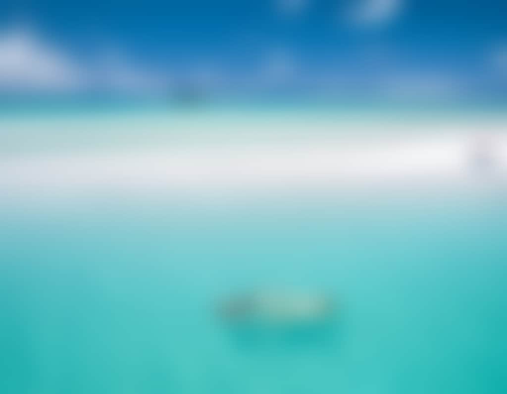 Whitehaven Swimming 2