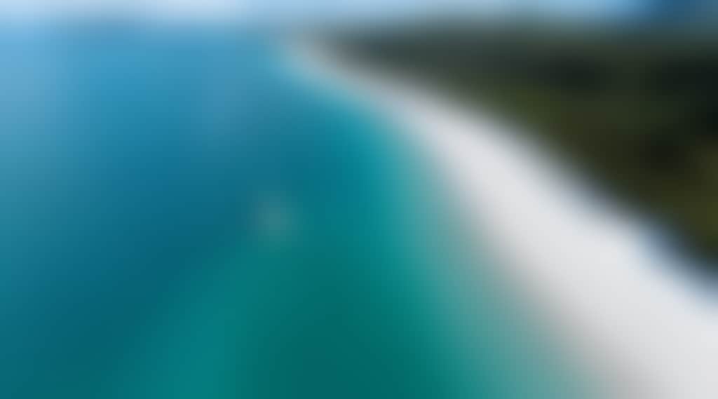 C8122315495F445E013Bca6E28D83Ade