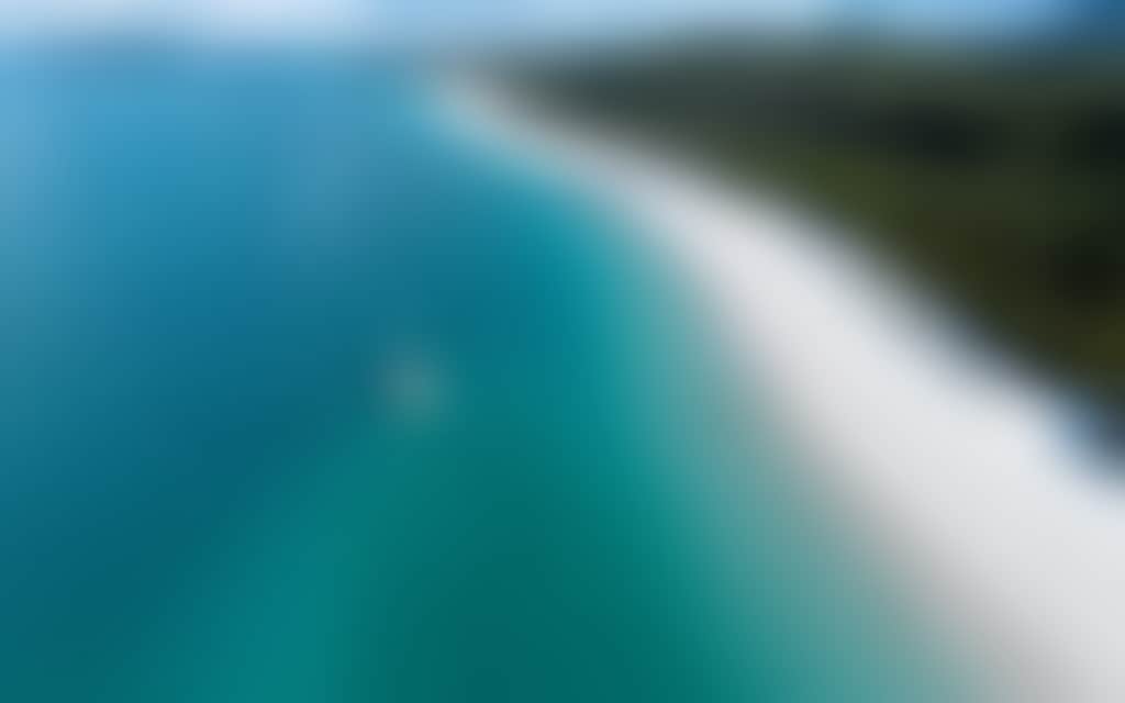 C8122315495F445E013Bca6E28D83Ade