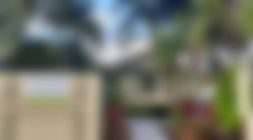66759D6907Ca231429C0169Ddc84C05A