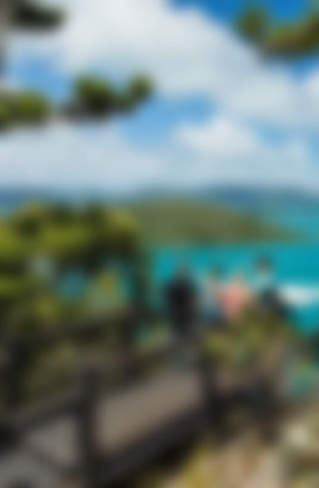 South Molle Lookout