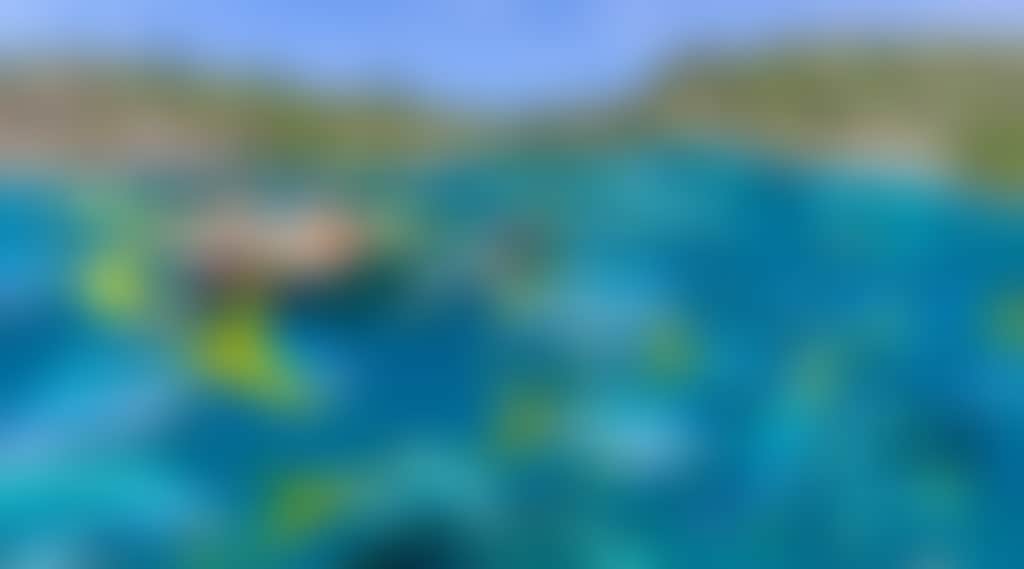 0B4296A5D0B8Ee60D8Bf2F1C65Fb61F0