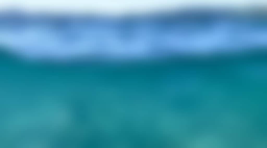 36C862A1384Bf3B93B12E04201B53246