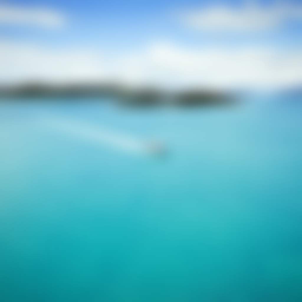 Cruise Whitsundays Island Transfer