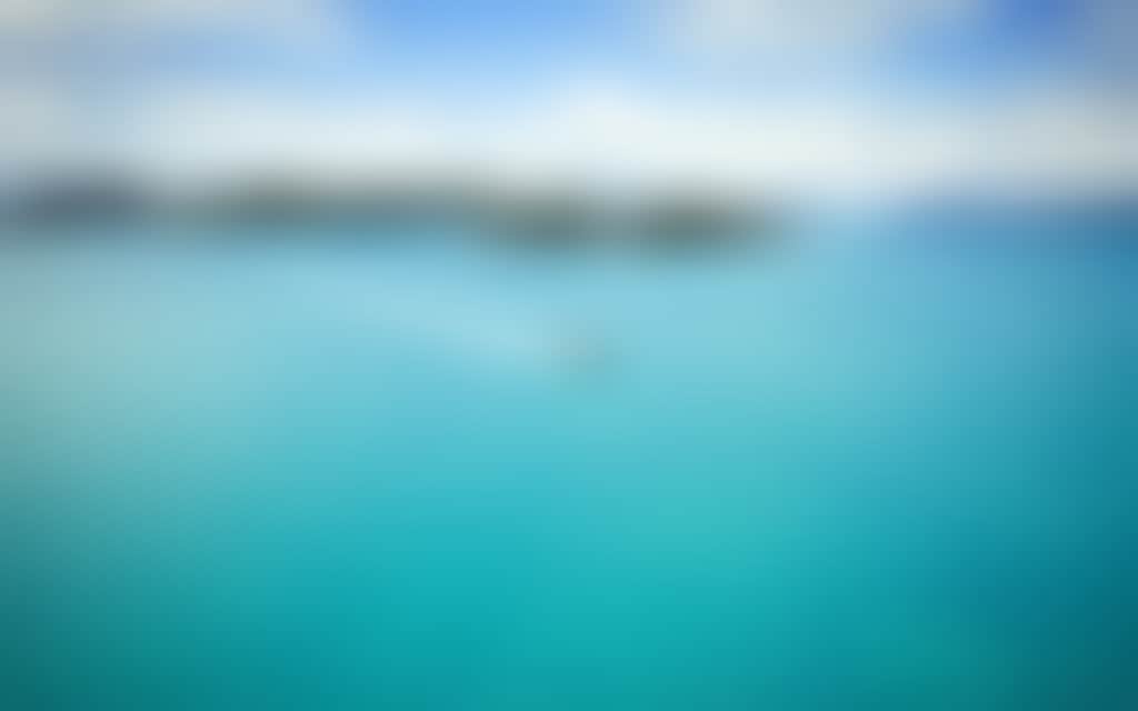 Cruise Whitsundays Island Transfer
