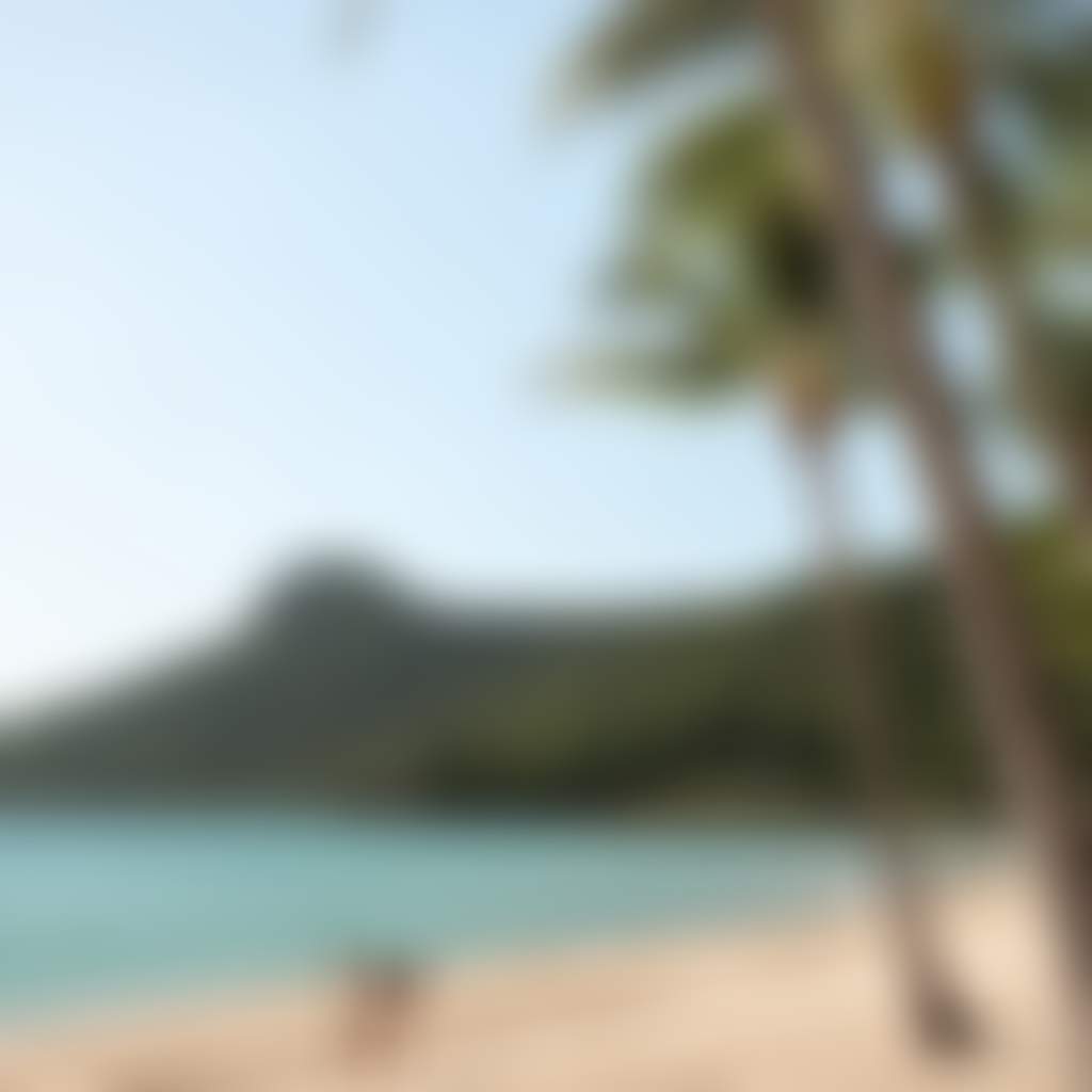 Catseye Beach, Hamilton Island
