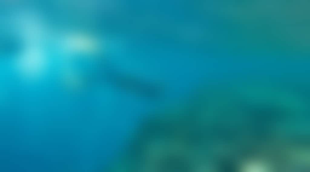 8F825D8D425D085Fb438629B82A3E274