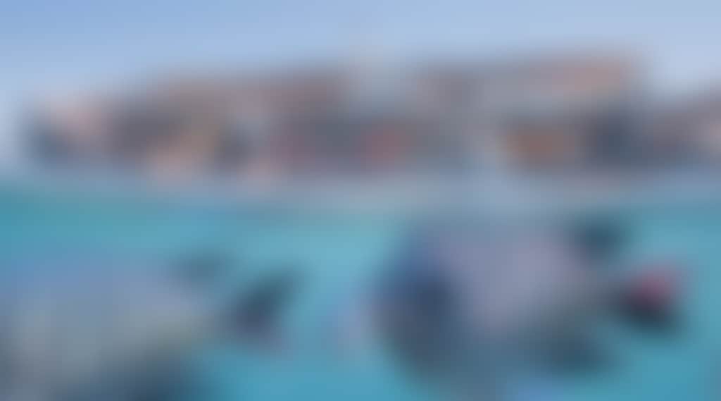 Ba3C0C2C6B7B93072Bd0C1Bced3C97F1