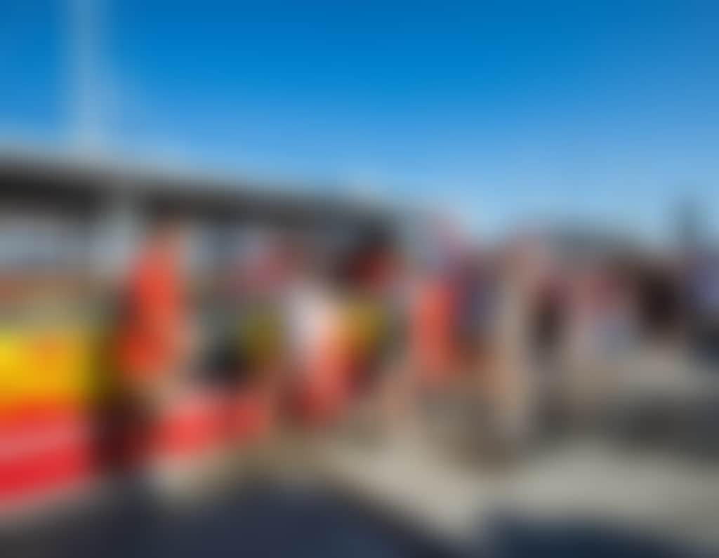 NECI Red Cat Adventures 37