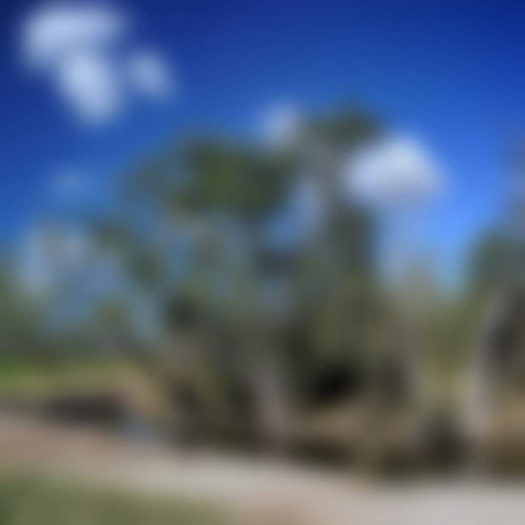 0D45563718F05Ff1564C76D4692B24E5
