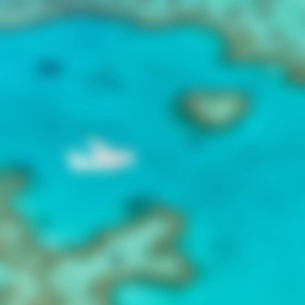 C1A9Ec8Ed89937087173Ca2C1Ef4A963